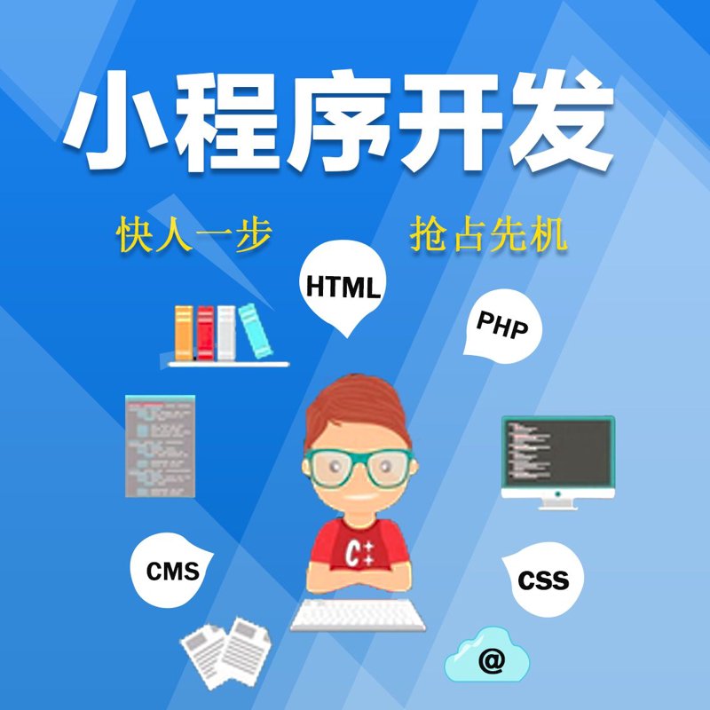 海口网站开发：搭建企业的数字化桥梁